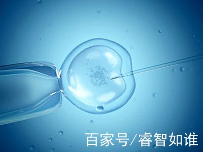 生殖科主任